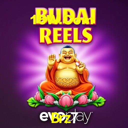 Interface Premium Brz7