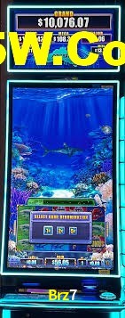 Sports Statistics Brz7