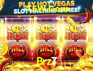 Brz7 Salvador - Support